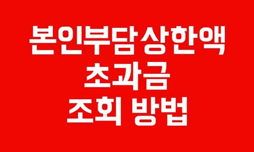 본인부담상한액
본인부담상한제