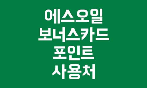 에스오일 보너스카드
에스오일 포인트