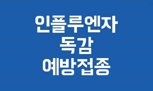 인플루엔자 예방접종
독감 예방접종