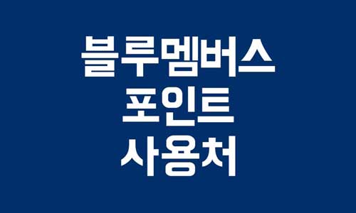 블루멤버스 포인트 사용처
블루멤버스 포인트 사용방법