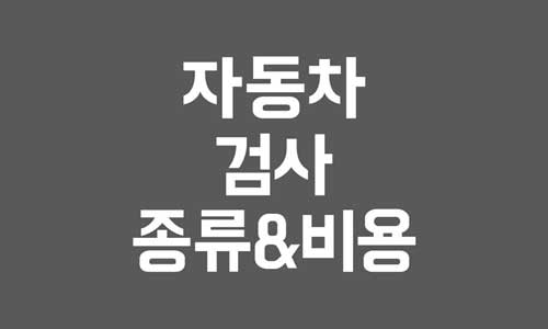 자동차 검사 종류
자동차 검사 비용
