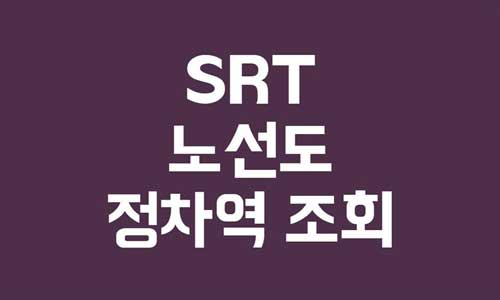 SRT 노선도
SRT 정차역