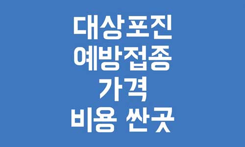대상포진 예방접종 가격
대상포진 예방접종 비용 싼 곳