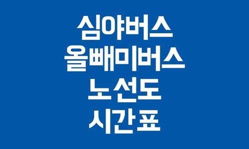 심야버스
올빼미버스