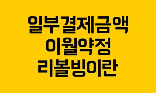 일부결제금액이월약정
리볼빙